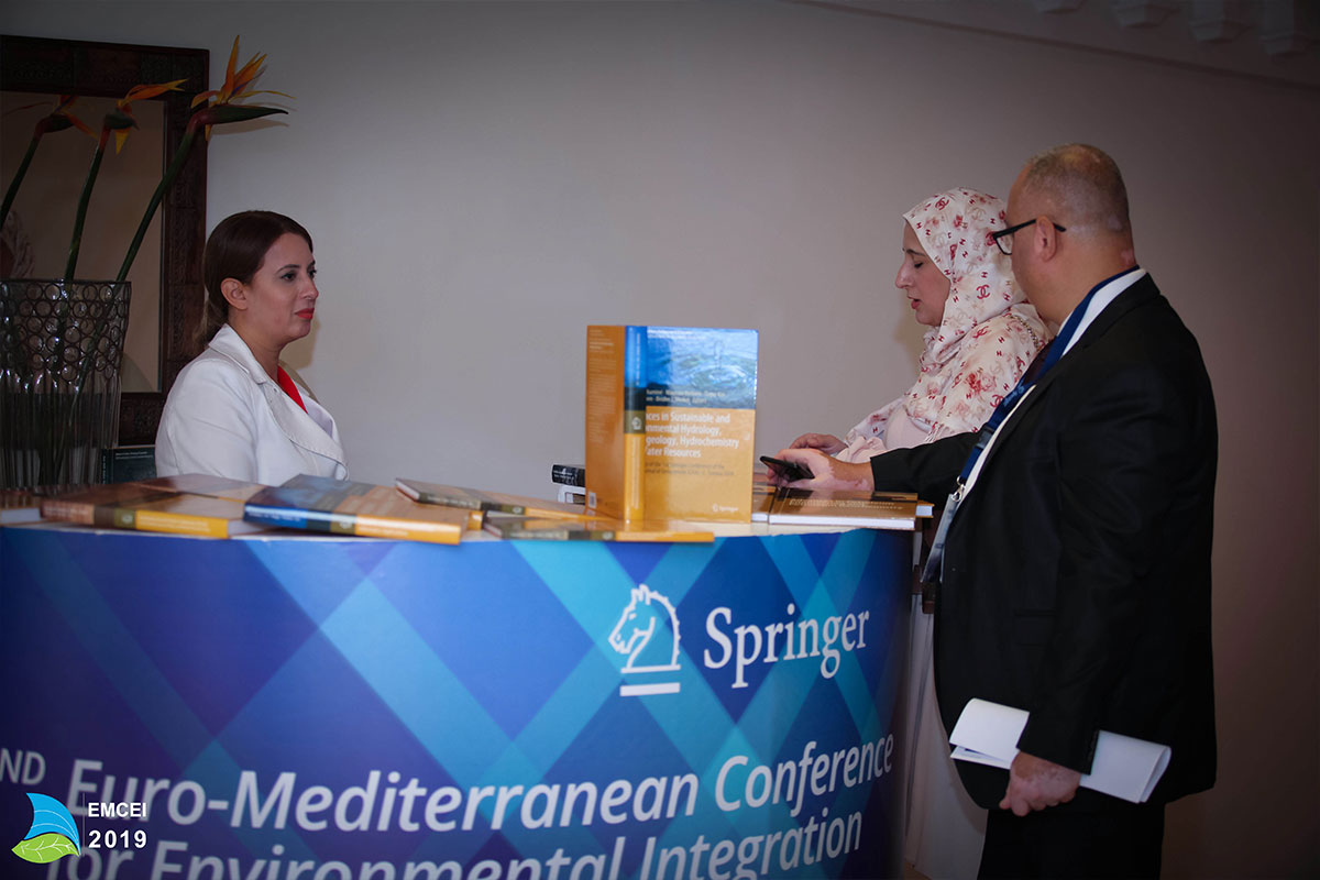 EMCEI 2019